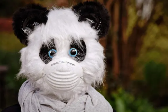 Bitcoza Casino Support